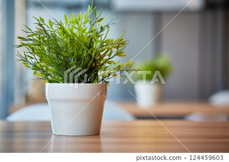 Pots of green plants in the office on the table. Blurred background with space for text. Pots of green plants in the office on the table. Blurred background with space for text. 124459603