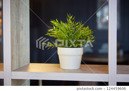 Pogonatherum paniceum in a flower pot on a shelf in the interior. 124459606