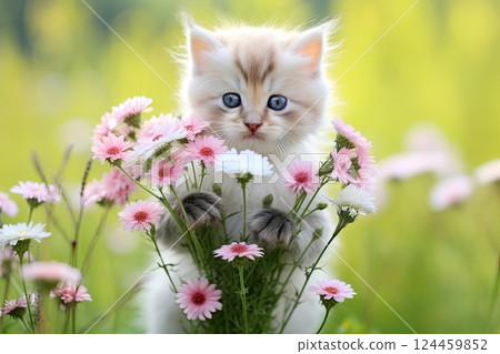 little cute fluffy white with ginger kitten in a flower bed 124459852