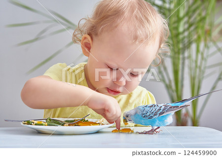 Baby and Pets. Curly toddler feeds the budgie from his plate. lifestyle Baby and Pets. Curly toddler feeds the budgie from his plate. lifestyle 124459900
