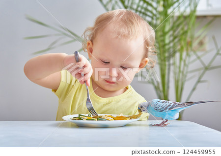 child eats next to a budgie. The concept of caring for pets. 124459955