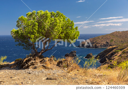 Far de Cala Nans lighthouse in Cadaques, Spain 124460309