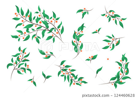 Berry branches isolated vector clipart illustration. Set of twigs and leaves on white background. Delicate botanical elements for designs. Natural decorative plants collection 124460628