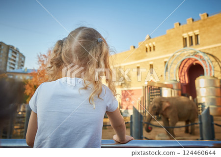 A faceless curly-haired girl enthusiastically looks at an elephant in the zoo. The concept of recreation and entertainment A faceless curly-haired girl enthusiastically looks at an elephant in the zoo. The concept of recreation and entertainment 124460644