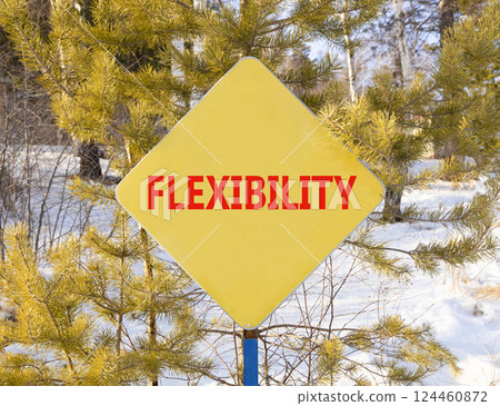 Flexibility symbol. Concept word Flexibility on beautiful yellow road sign. Beautiful winter snow forest background. Business flexibility concept. Copy space. 124460872