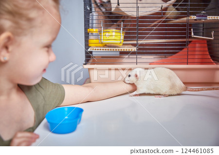 The girl looks at the cage with rats. Focus on the rat. 124461085