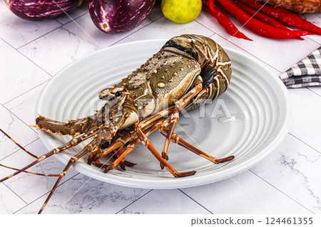 Raw wild fresh spiny lobster Raw wild fresh spiny lobster 124461355