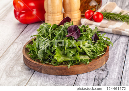 Fresh green ruccola salad leaves Fresh green ruccola salad leaves 124461372