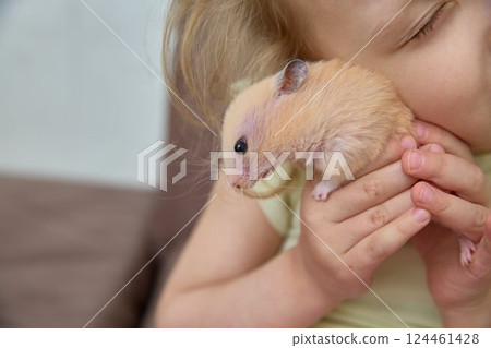 A peach-colored Dzungarian hamster in the arms of a child hugging a beloved pet. Friendship of children and pets A peach-colored Dzungarian hamster in the arms of a child hugging a beloved pet. Friendship of children and pets 124461428