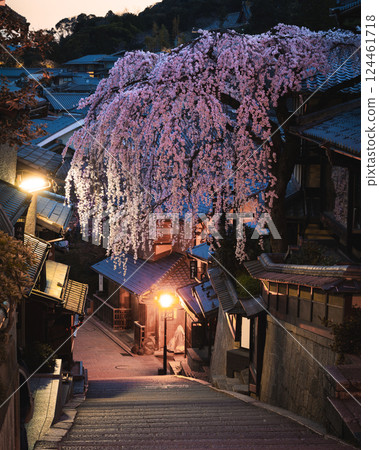 Image of Kyoto's cherry blossoms: Weeping cherry blossoms on Sanneizaka Image of Kyoto's cherry blossoms: Weeping cherry blossoms on Sanneizaka 124461718