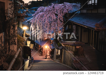 Image of Kyoto's cherry blossoms: Weeping cherry blossoms on Sanneizaka Image of Kyoto's cherry blossoms: Weeping cherry blossoms on Sanneizaka 124461719