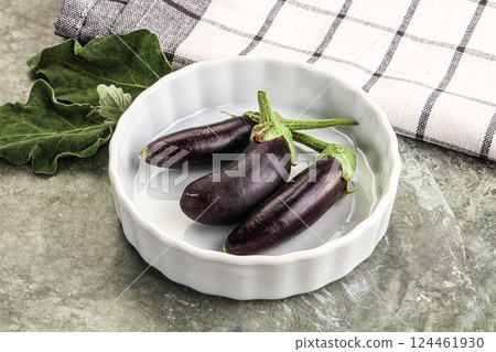 Small few baby eggplant over board 124461930