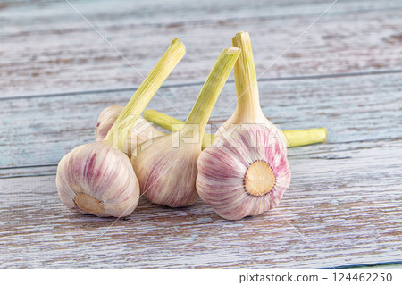 Raw young garlic bulb heap 124462250