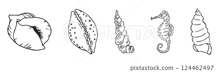 Sea shell sketch ocean life hand drawn illustration. Outline modern style, summer, vacation, beach design elements. Coral and seaweed, starfish line.  124462497