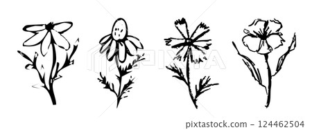 Summer abstract wild flowers, crayon ink drawing, chalk textured floral hand drawn. Charcoal sketch, trendy minimal tattoo 124462504