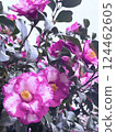 春天 山茶花 大自然 124462605