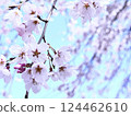 春天 櫻花 大自然 124462610