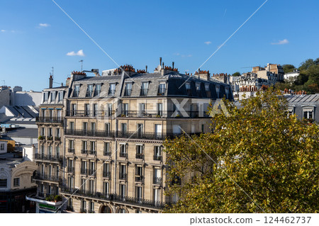 Old and expensive residential building in Paris, France Old and expensive residential building in Paris, France 124462737