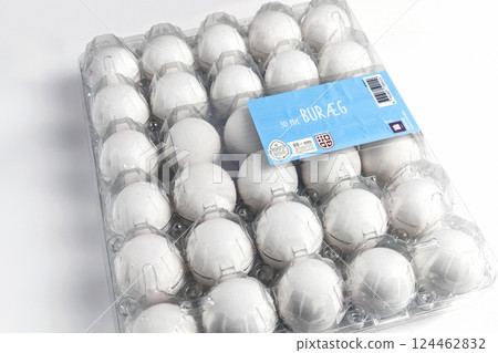 Raw white chicken eggs in tray on white background. 124462832