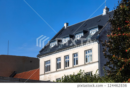 New black tile roof of a rich mansion 124462836