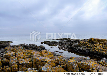 Rocky seashore. Stones covered with yellow and green moss and cloudy sky. 124463008
