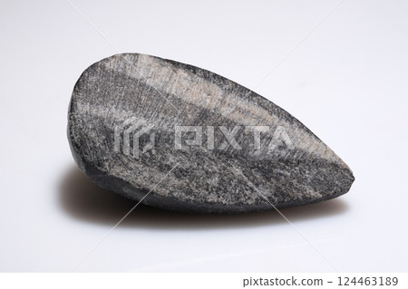 Ancient Trilobite Fossil Displaying Distinct Textured Rock Surface, Paleontological Specimen from Prehistoric Marine Creature Ancient Trilobite Fossil Displaying Distinct Textured Rock Surface, Paleontological Specimen from Prehistoric Marine Creature 124463189