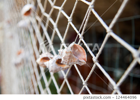 Hanging rapan on a background of fishing net - decoration in a fishing village. Selective focus. Hanging rapan on a background of fishing net - decoration in a fishing village. Selective focus. 124464096