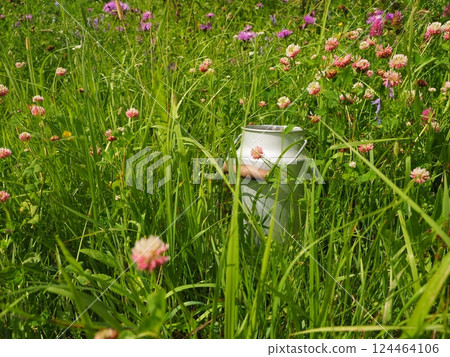 Lost Aluminum can with water and green grass 124464106