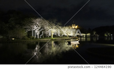 Cherry blossoms at night at Sankeien Garden, a famous cherry blossom spot in Yokohama City Cherry blossoms at night at Sankeien Garden, a famous cherry blossom spot in Yokohama City 124464190