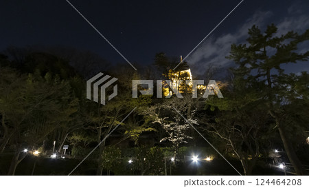 橫濱市著名的櫻花勝地三溪園的夜櫻 橫濱市著名的櫻花勝地三溪園的夜櫻 124464208