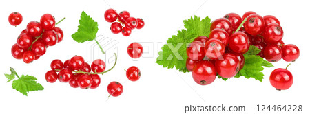 Red currant berries isolated on white background. Top view. Flat lay 124464228