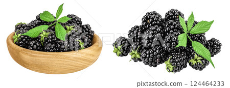 blackberry with leaf in wooden bowl isolated on a white background closeup. 124464233