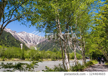 【清爽的上高地】梓川散步道的新綠色與穗高山脈的壯麗景色 【清爽的上高地】梓川散步道的新綠色與穗高山脈的壯麗景色 124464603