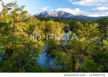 Spring in Lake Nakasenuma and Mount Bandai, Urabandai, Kitashiobara Village, Fukushima Prefecture 124464742