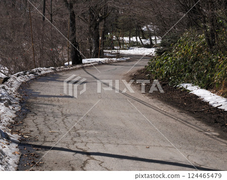 A curve on a mountain road as the snow melts 124465479