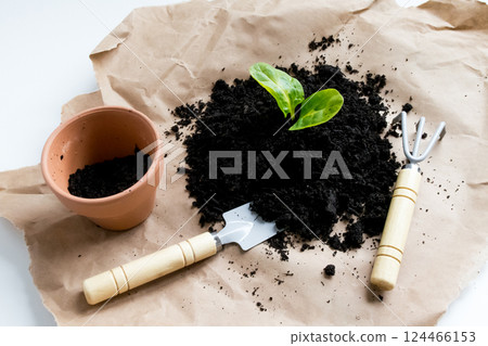 Young plant growing in soil with gardening tools on brown paper background 124466153