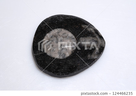 Natural Fossilized Trilobite Embedded in Dark Matrix Stone with Distinct Detailed Structure Natural Fossilized Trilobite Embedded in Dark Matrix Stone with Distinct Detailed Structure 124466235