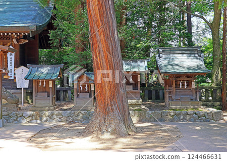 Hotaka Shrine (Azumino) 124466631
