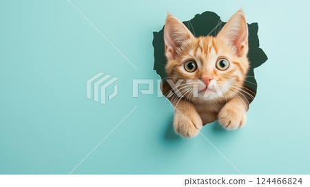 A ginger kitten with wide eyes curiously peeking through a ripped hole in a turquoise background 124466824