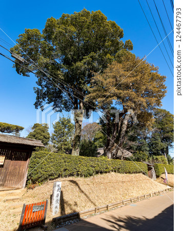 佐倉市的武士宅邸街，保留了日本古老的街景 124467793