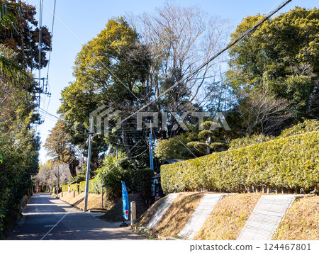 佐倉市的武士宅邸街,保留了日本古老的街景 佐倉市的武士宅邸街,保留了日本古老的街景 124467801