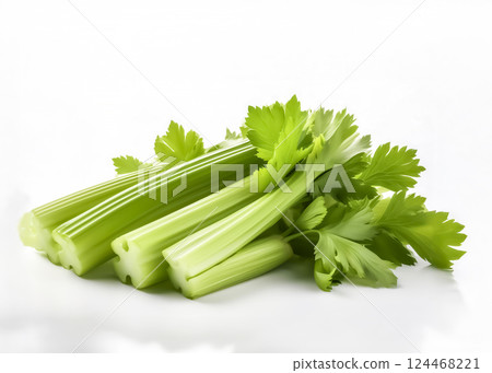 芹菜圖片素材 124468221