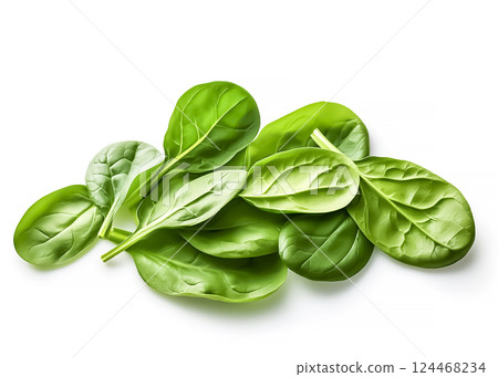 菠菜圖片素材 124468234