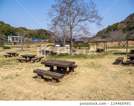 Park scenery in early spring: Wooden table and benches on the lawn Park scenery in early spring: Wooden table and benches on the lawn 124468491