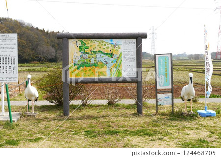 Noda City Stork Village protects and raises endangered storks. 124468705