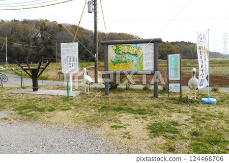 Noda City Stork Village protects and raises endangered storks. 124468706