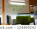 野田市鸛村保護並飼養瀕臨滅絕的鸛。 124469242