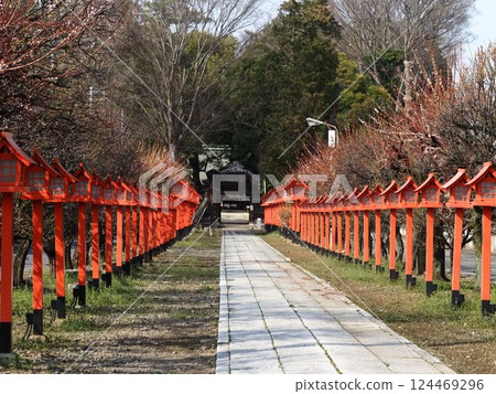 紅橋 紅橋 124469296