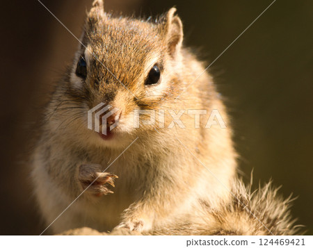 Our eyes met 124469421