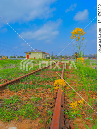 當地火車軌道的風景 當地火車軌道的風景 124470330